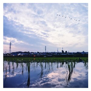 四川少妇XXX奶大XXX
