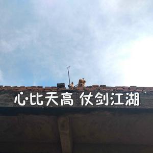 四川少妇XXX奶大XXX
